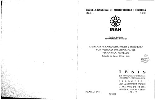 Atención al embarazo, parto y puerperio por parteras del municipio de Yecapixtla, Morelos  (Estudio de caso, 1995-1996)