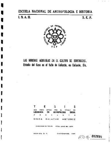 Las obreras agrícolas en el cultivo de hortalizas
