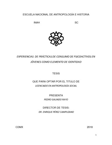 Experiencias de prácticas de consumo de psicoactivos en jóvenes como elemento de identidad