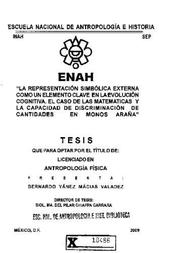 La representación simbólica externa como un elemento clave en la evolución cognitiva