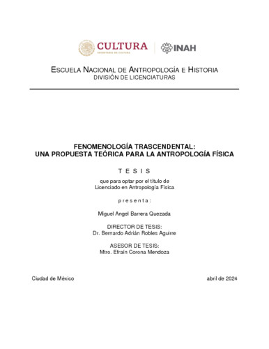 Fenomenología trascendental