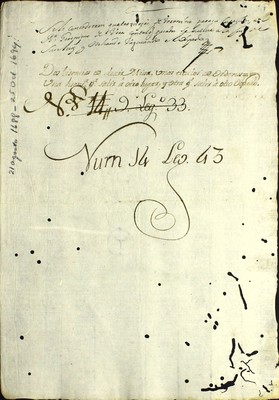 Libro Diocesano 783 de la sección Gobierno serie Sacerdotes-Licencias