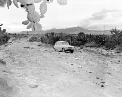 Automóvil en un camino