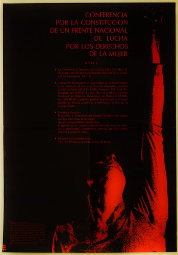 Conferencia por la constitución de un Frente Nacional de lucha por los derechos de la mujer.