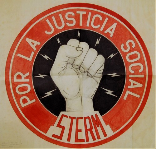 Insignia STERM