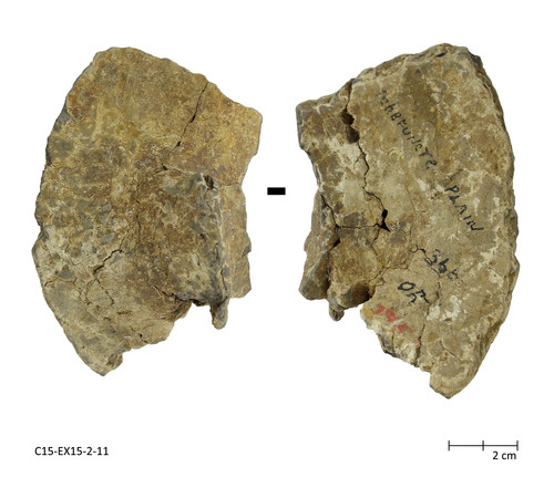 TChefuncte Plain Wedge-shape tetrápodos. C15-EX15