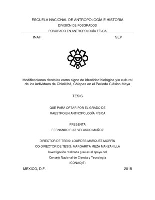 Modificaciones dentales como signo de identidad biológica y/o cultural de los individuos de chinikihá, chiapas en el periódo clásico maya